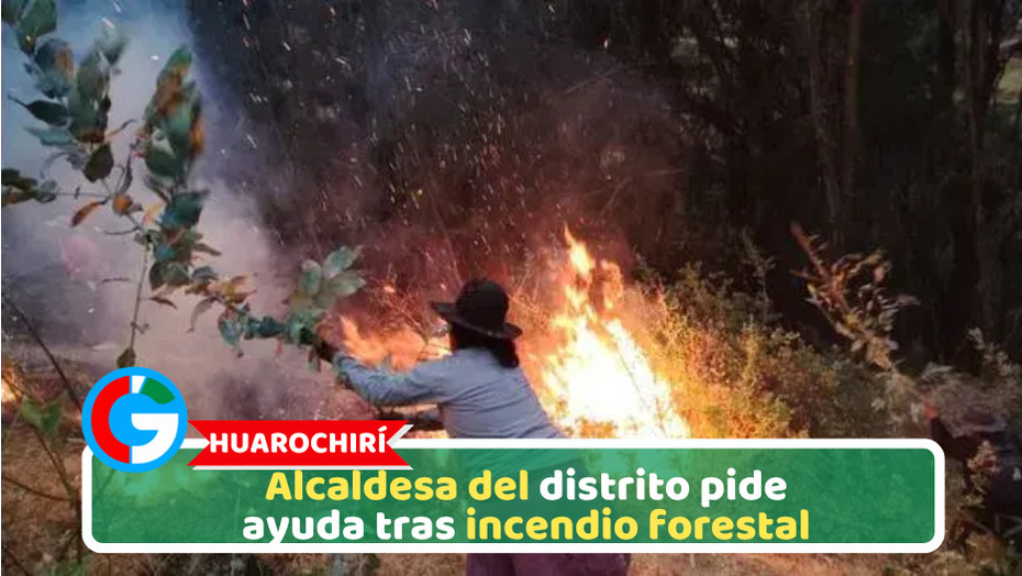 Huarochirí: Alcaldesa del distrito pide ayuda tras incendio forestal