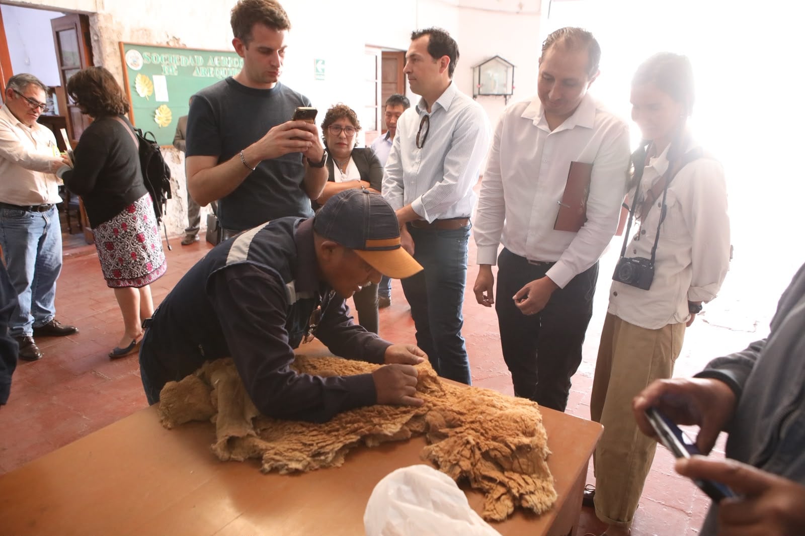 Serfor: venden en Arequipa fibra de vicuña por más de S/2.3 millones en subasta