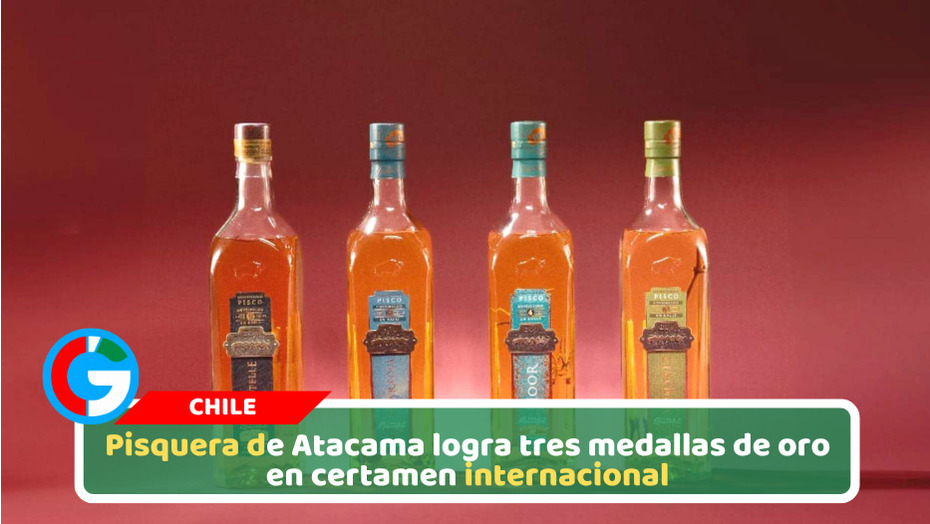 Pisquera de Atacama logra tres medallas de oro en certamen internacional