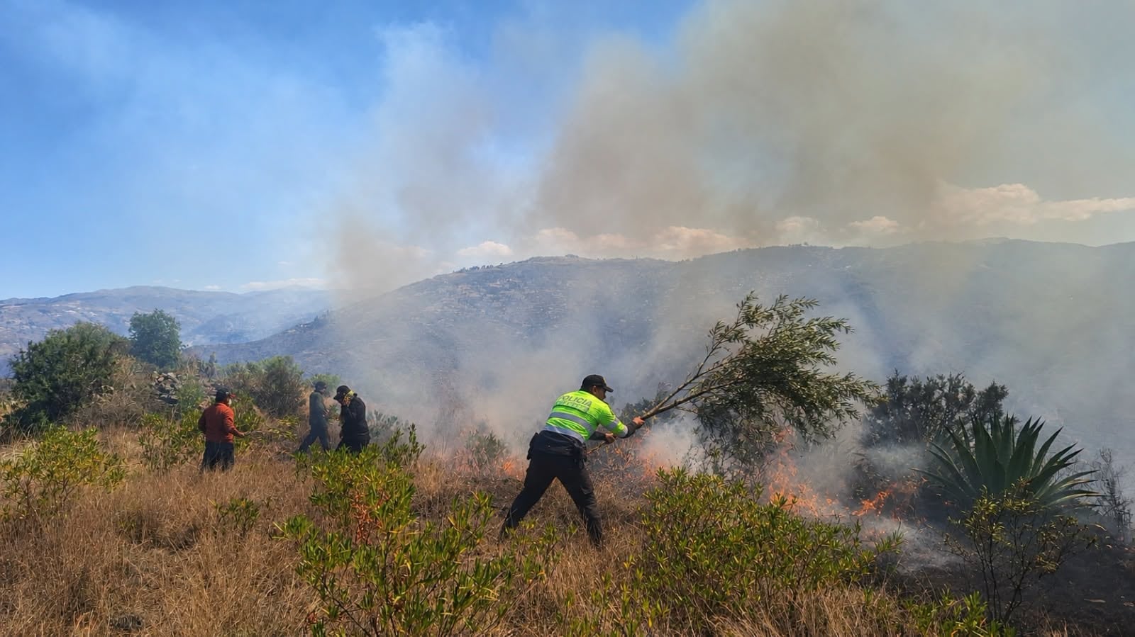 Cerca del 98% de incendios forestales sería provocado por acción humana, según Cenepred