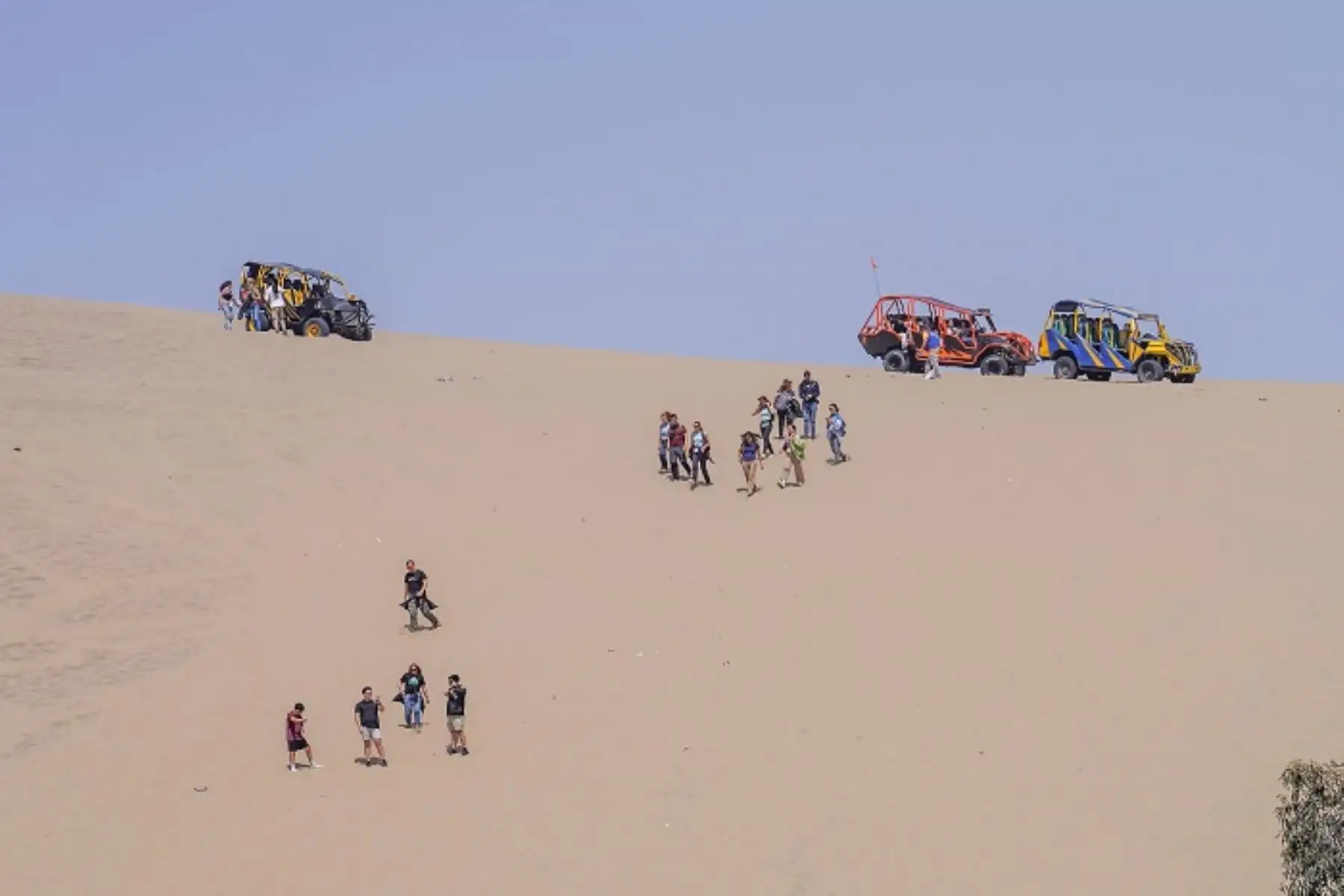 Huacachina: choferes de carros tubulares piden normativa especial para regular turismo