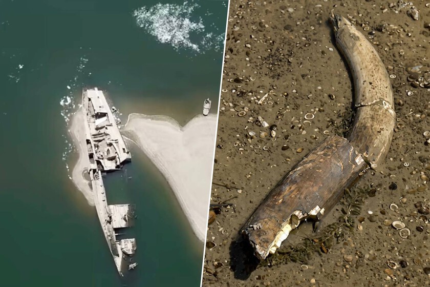 El Danubio está más seco que nunca. Y no solo deja a la vista naufragios de la Segunda Guerra Mundial: hay hasta un mamut