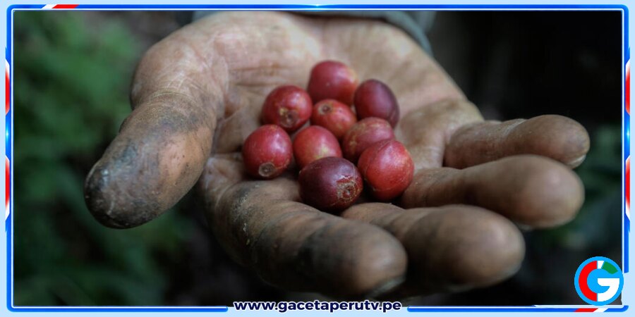 Colombia propone elevar el IVA al café y reducir impuestos empresariales