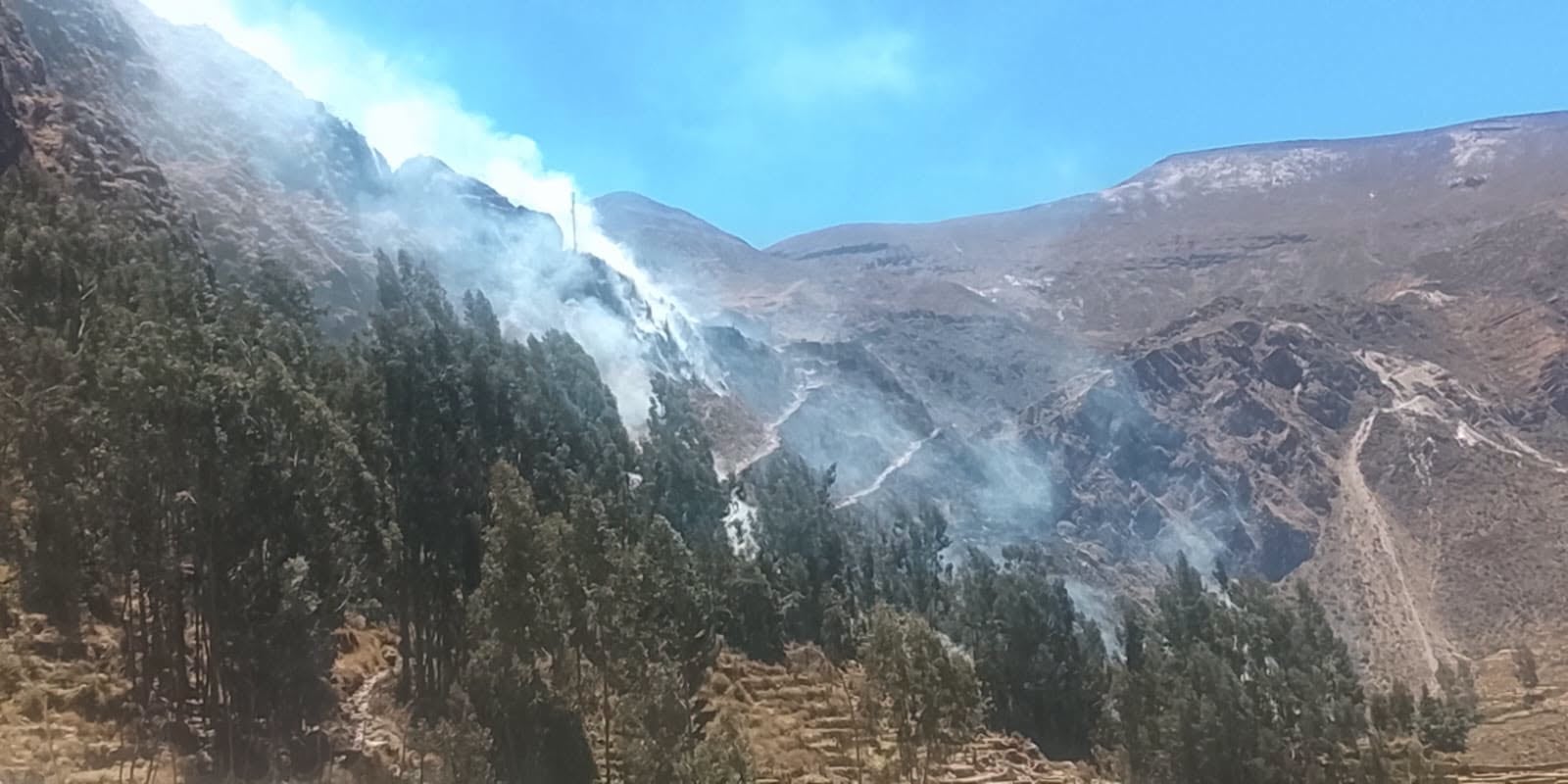 Arequipa: Incendio afecta tres hectáreas de pastos naturales en Pampamarca, La Unión