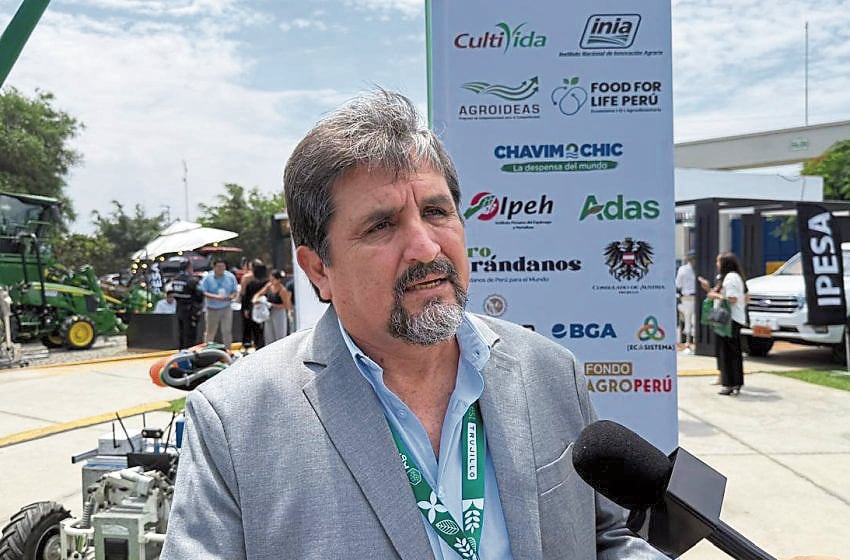 Yuri Armas: “El sector privado no puede reemplazar los roles del Estado”