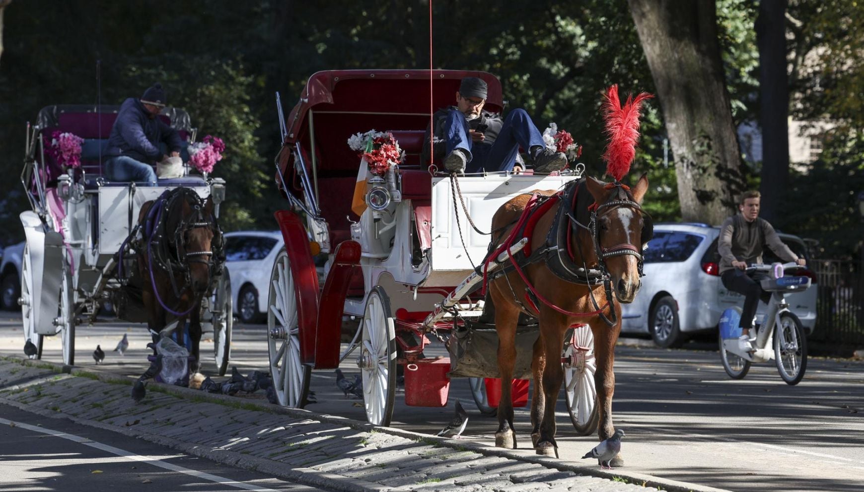Nueva York pone fecha al fin de los carruajes con caballos en Central Park: qué debe hacer Zohran Mamdani