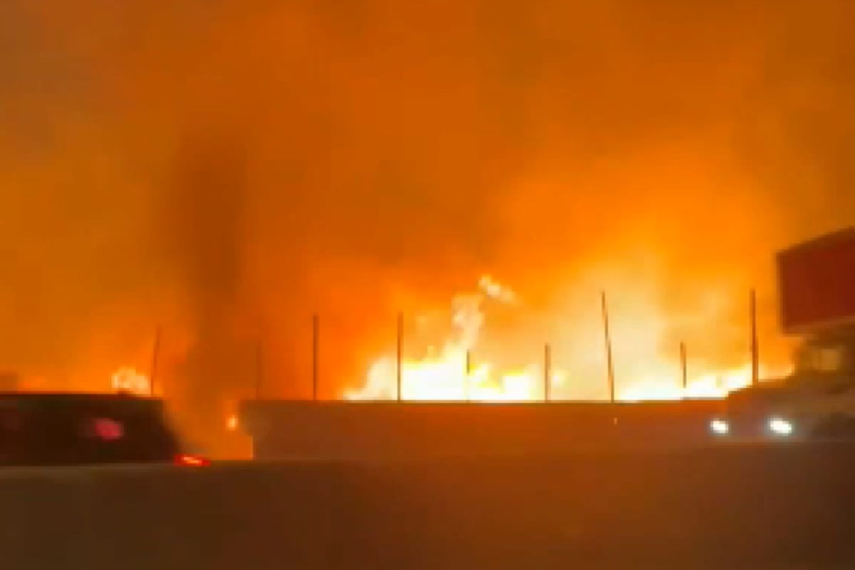 Los Olivos: Dantesco incendio se desató en vivero municipal | VIDEO