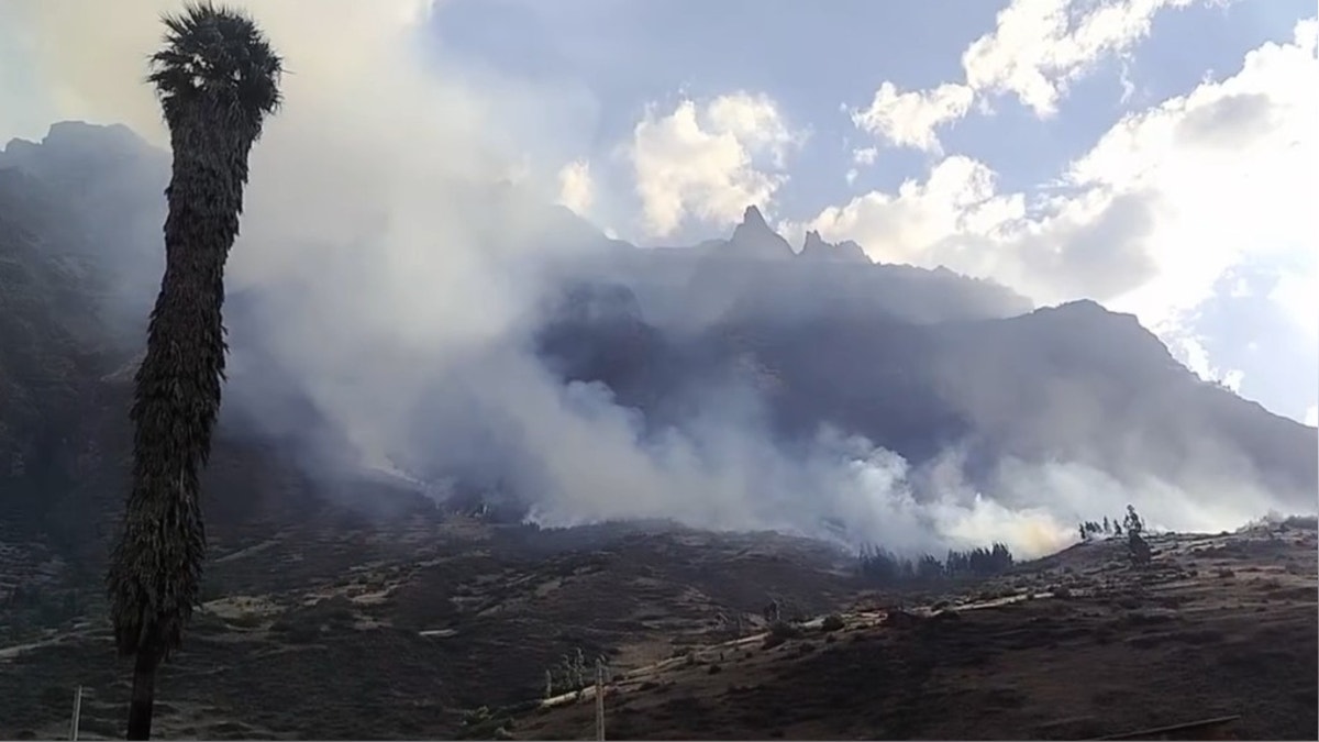 Cusco: condenado por incendio forestal deberá reforestar seis hectáreas cerca al Santuario del Señor de Huanca