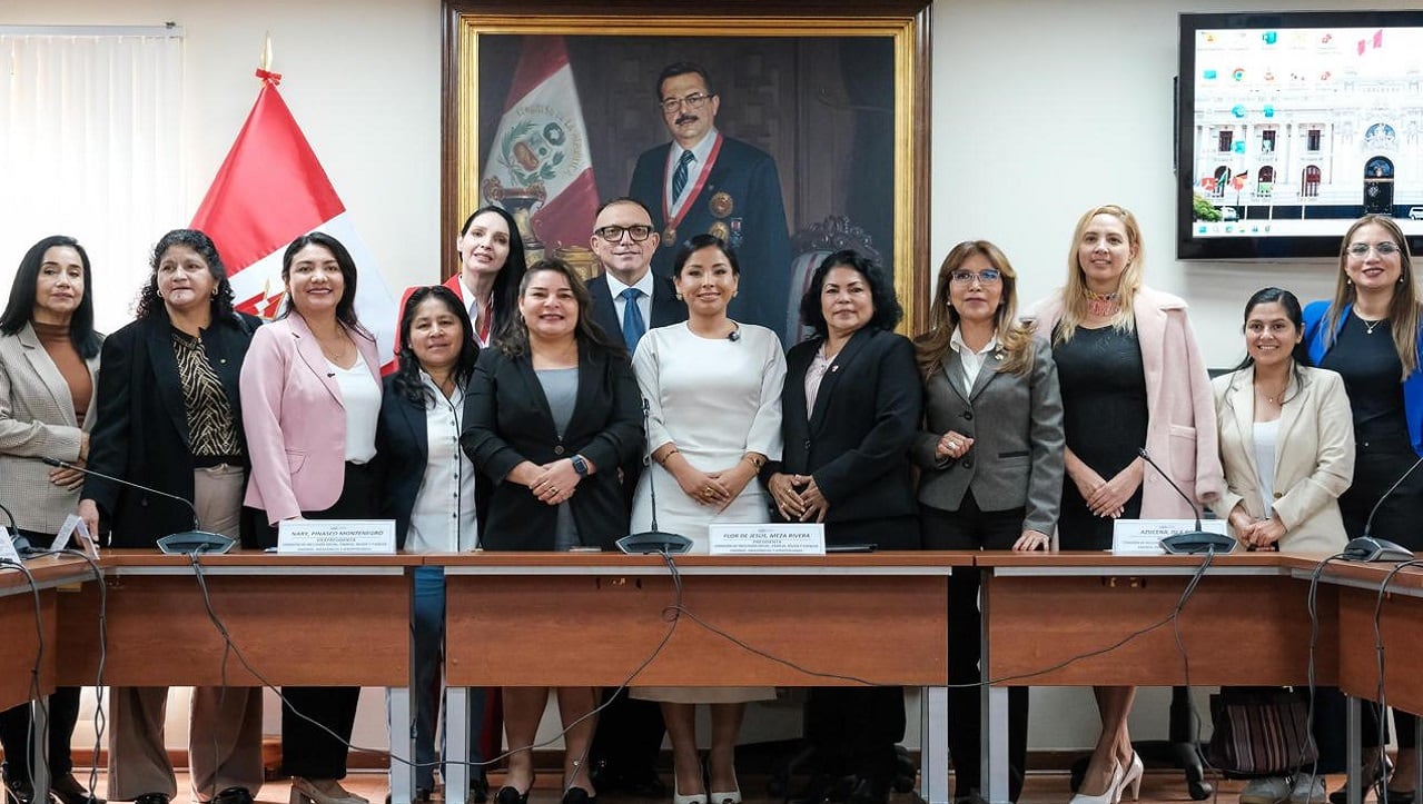Cámara de Diputados: Flor Meza asume presidencia de la Comisión de Inclusión Social