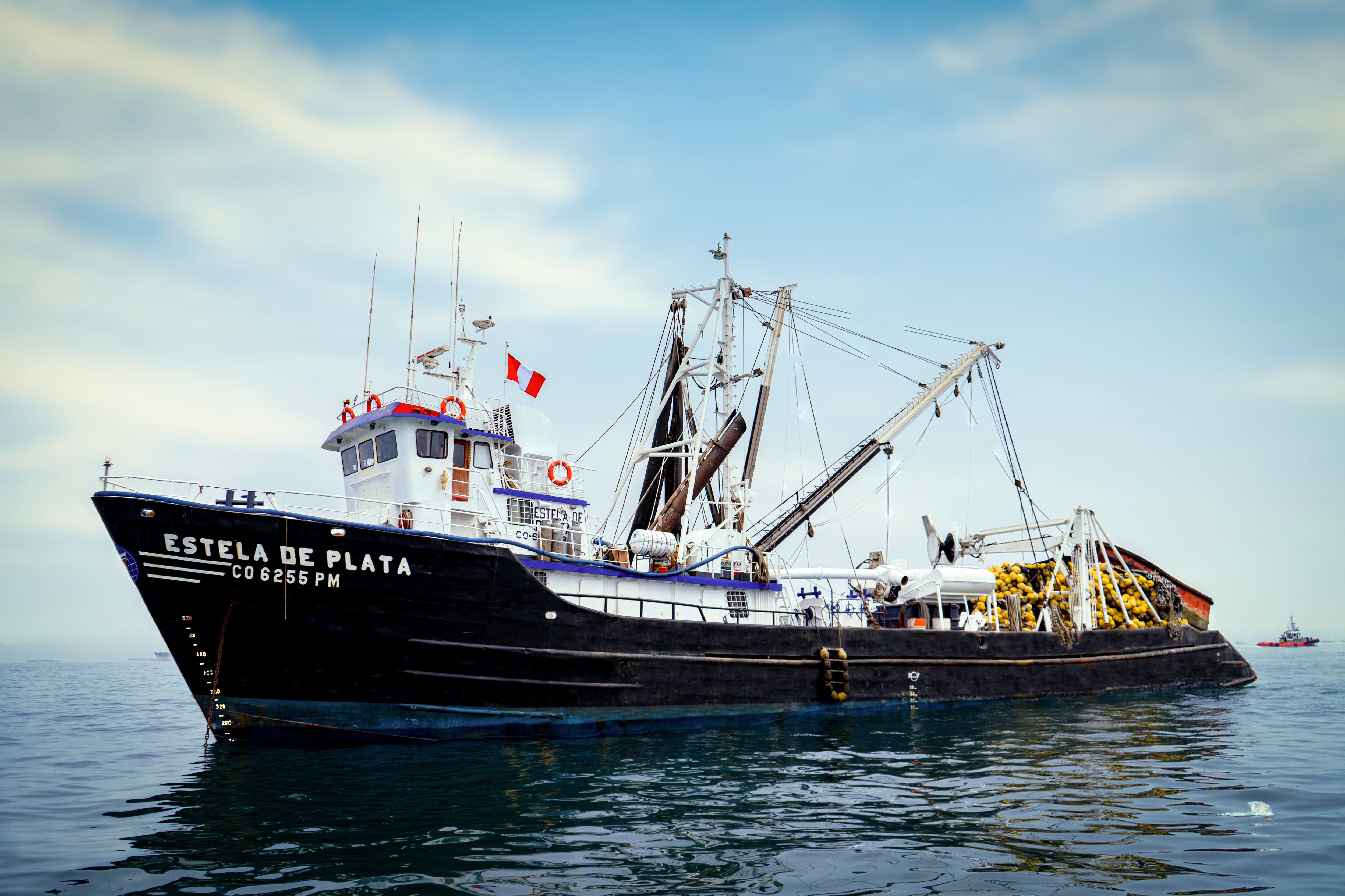 Austral Group enfrenta menor pesca, pero ve impulso en harina y aceite de pescado