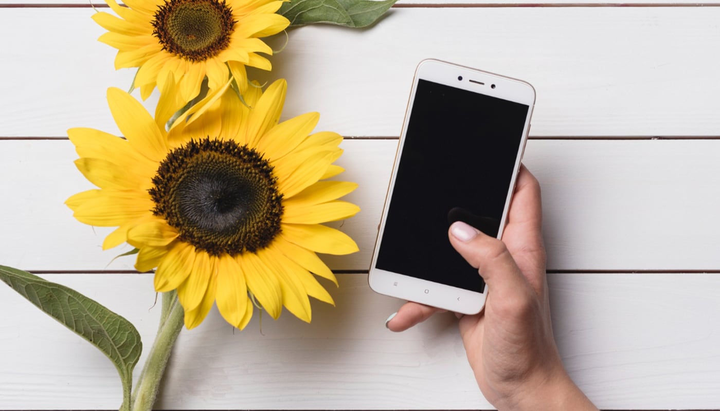101 FRASES de FLORES AMARILLAS para enviar por WhatsApp y otras redes, hoy, 21 de setiembre
