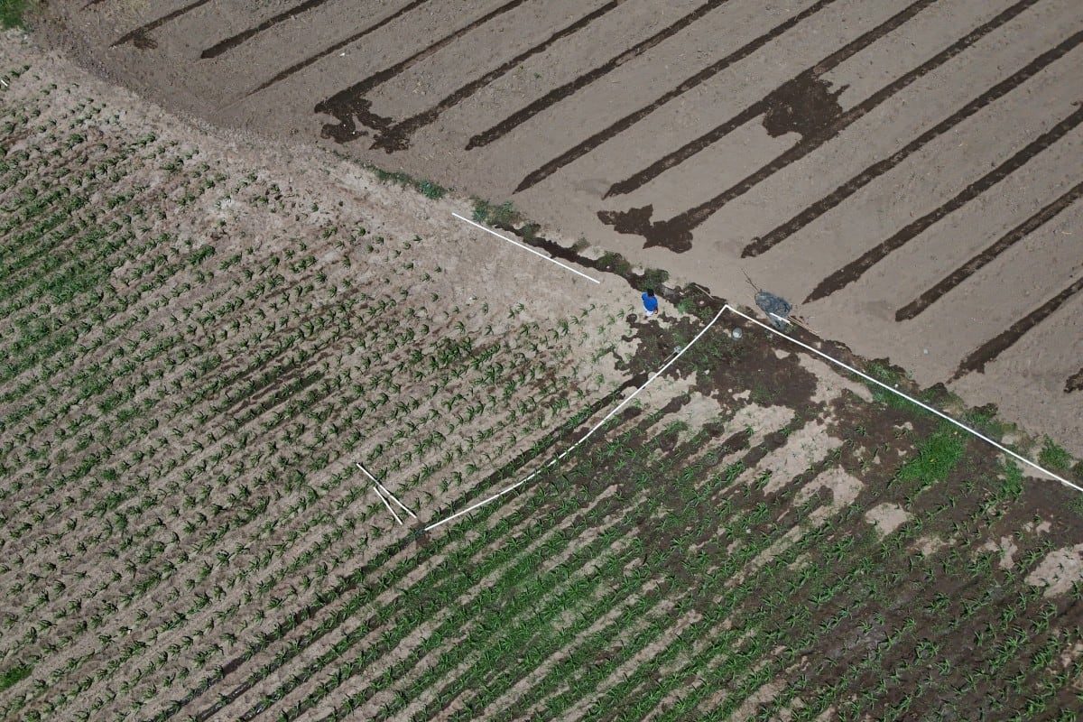 El Niño plantea una amenaza inminente para el sistema alimentario mundial
