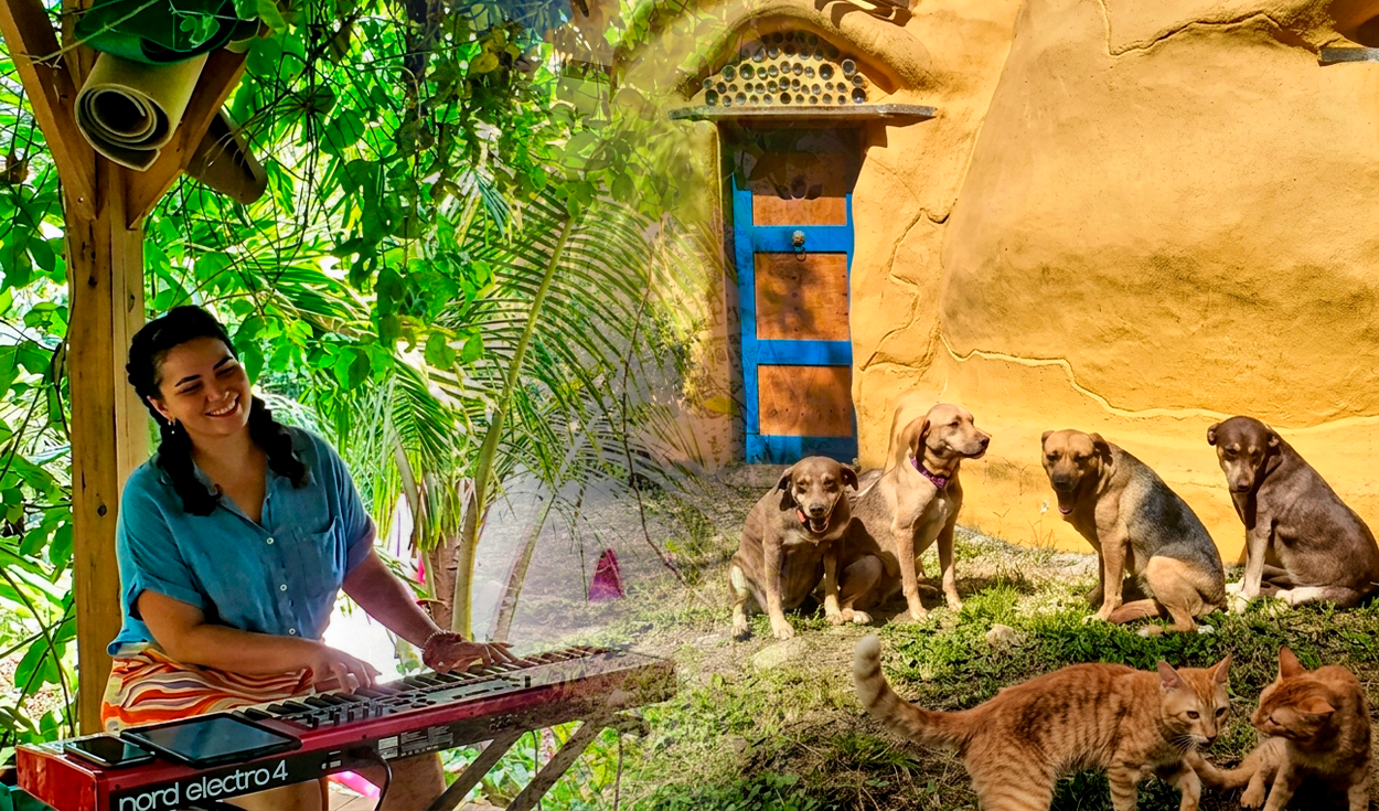 Famosa finca busca hasta 3 voluntarios que hablen español o inglés para vivir gratis en Puerto Rico: trabajarían 20 horas semanales por 4 semanas