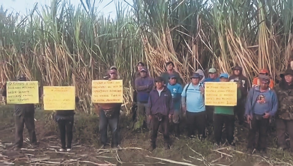 Cañicultores de Lambayeque buscan asegurar molienda de sus cultivos ante falta de cupos