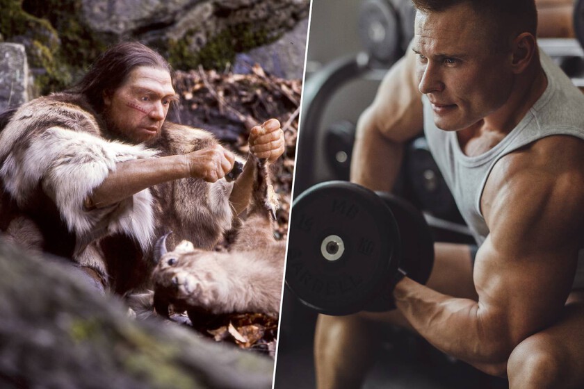 Los neandertales eran una mole de músculo. La ciencia acaba de descubrir por qué algunos de nosotros hemos heredado ese "gimnasio genético"