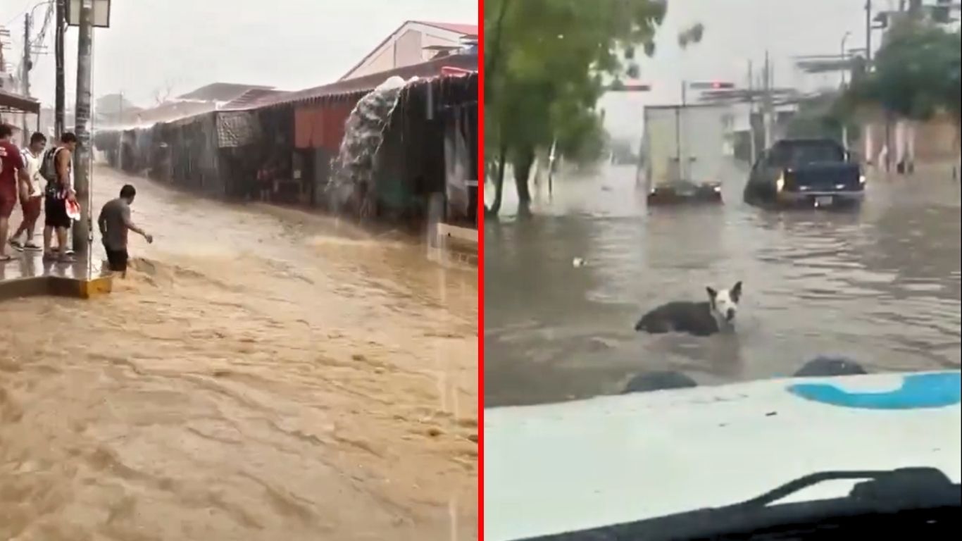 Fuertes lluvias inundan Piura: meteorólogo de Senamhi advierte que clima empeorará en el norte peruano