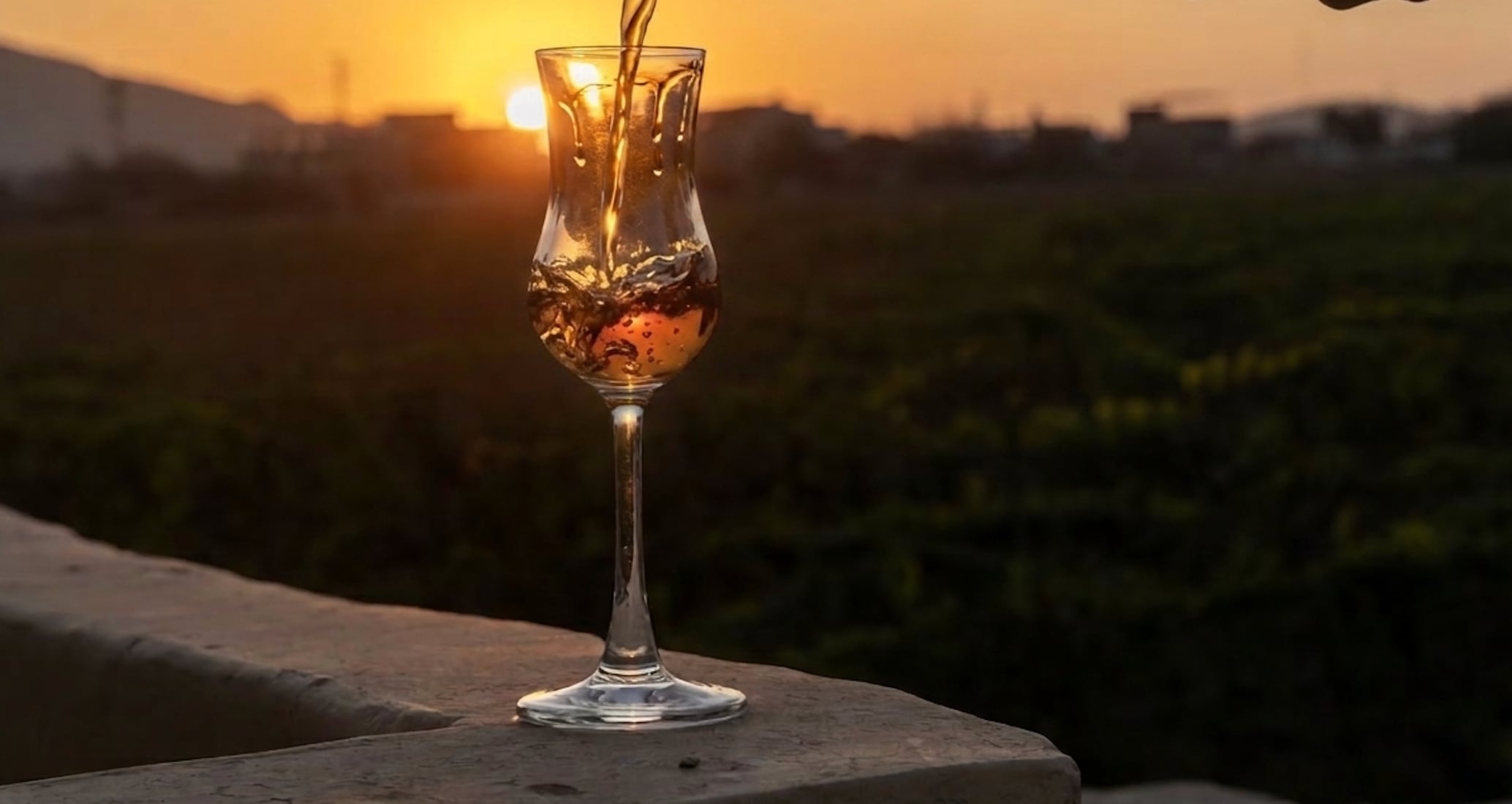 La prueba a ciegas que premió al pisco chileno: Destilados conquistan medallas de Platino y Doble Oro en los SIP Awards 2026
