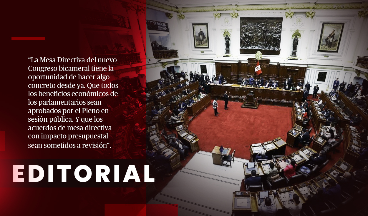 Los privilegios parlamentarios deben revisarse