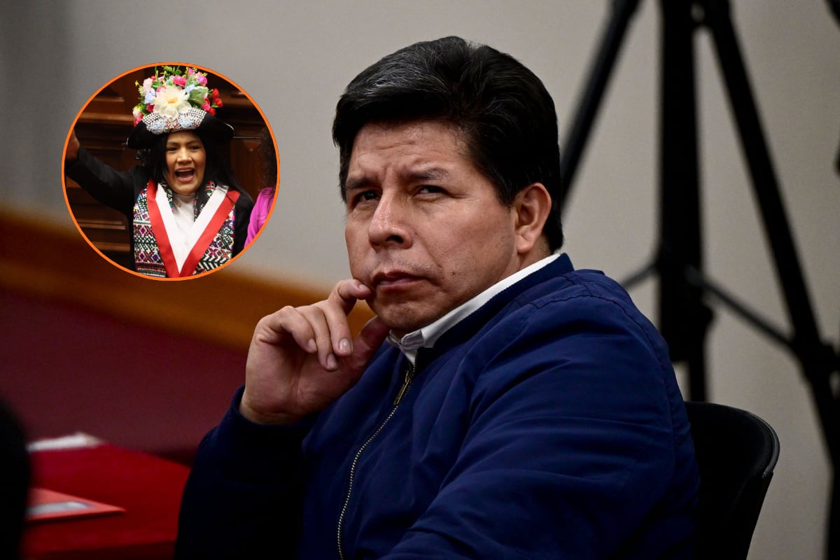 Exponen chats de diputada Catherin Palomino: “Les guste o no, Pedro Castillo es mi pareja”