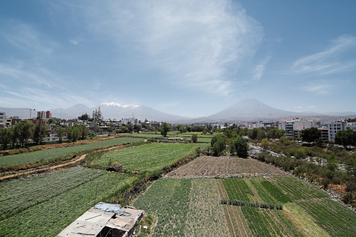 Arequipa: Impla pide derogar ordenanza que protege las tierras agrícolas y propone otra