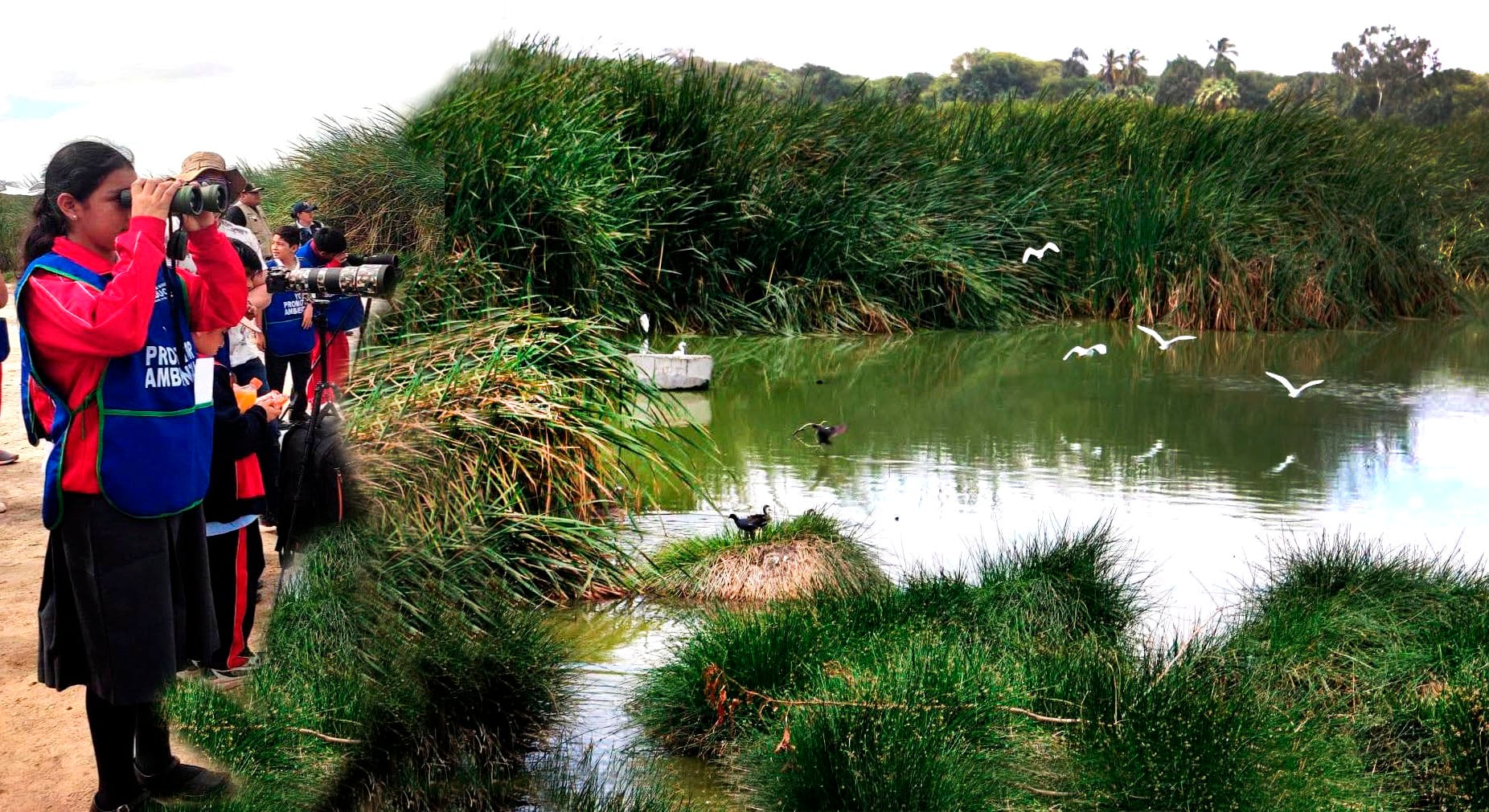 Tres días de esparcimiento en el Humedal Santa Julia en Piura