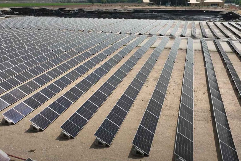 Pensábamos que producir aceite de oliva y energía en el mismo sitio era una utopía. 5.150 paneles en España tienen la solución: el secreto está en la altura