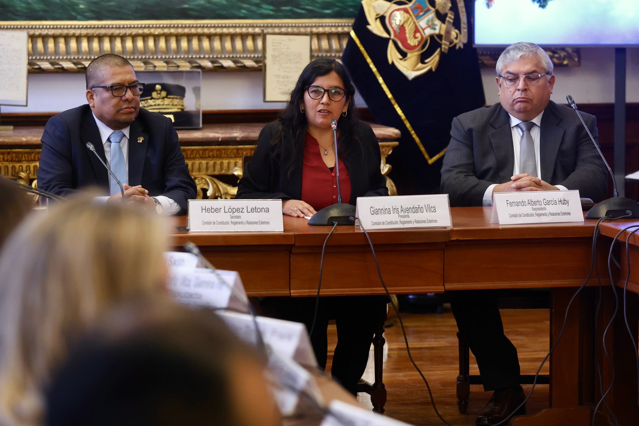Comisión de Constitución de la Cámara de Diputados será presidida por Giannina Avendaño