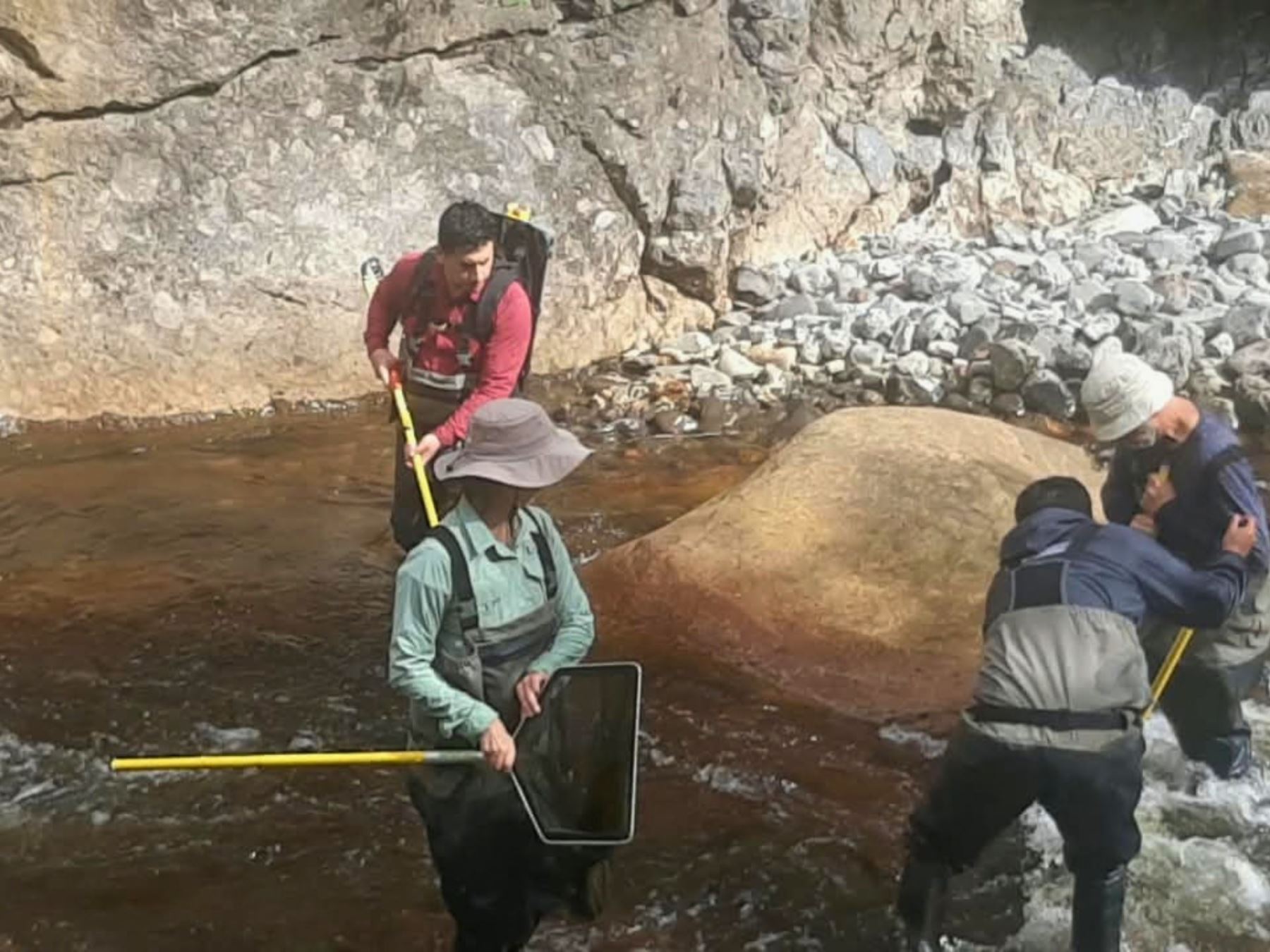 Expedición científica estudia diversidad de peces en cuencas de ríos Chamaya y Utcubamba