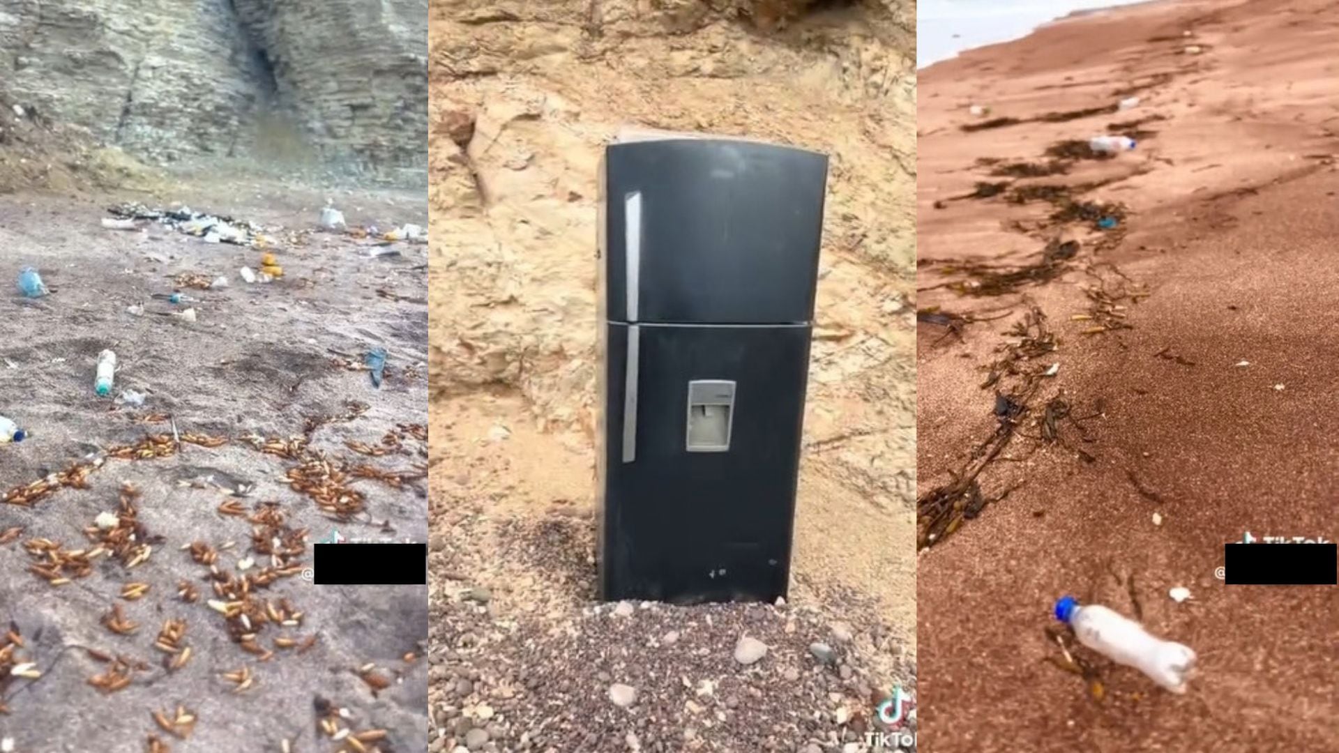 Pisco: hallan una refrigeradora y cantidades de basura en playa Roja, en la Reserva Nacional de Paracas