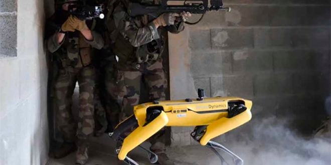 Perros robots para ofensiva antimigrantes en EE.UU.: el plan de US$ 2 millones