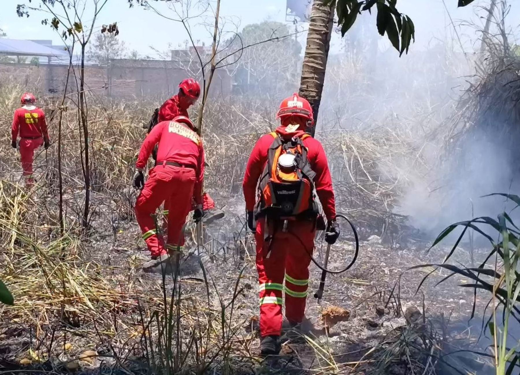 Extinguen incendios forestales en distritos de Cusco, Ayacucho, Puno, Piura y Huancavelica