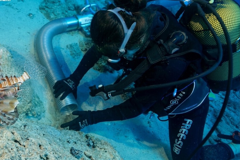 Mientras se construía la Gran Pirámide hace 4.700 años, un barco se hundía en el Mediterráneo: es el naufragio más antiguo jamás conocido