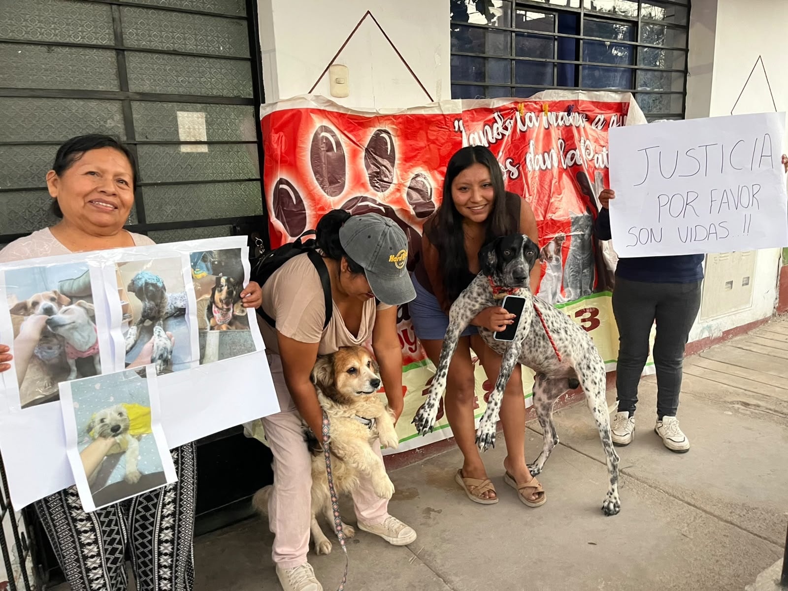 Rescatista pide evitar desalojo de perros rescatados y solicita diálogo con Municipalidad de Ica