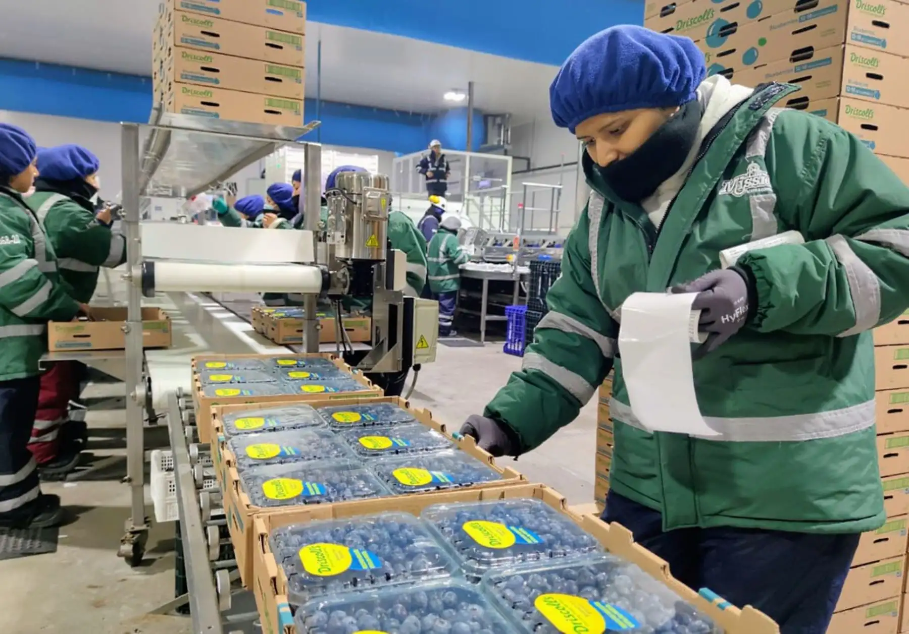 Exportaciones peruanas generan más de 1.5 millones de empleos directos